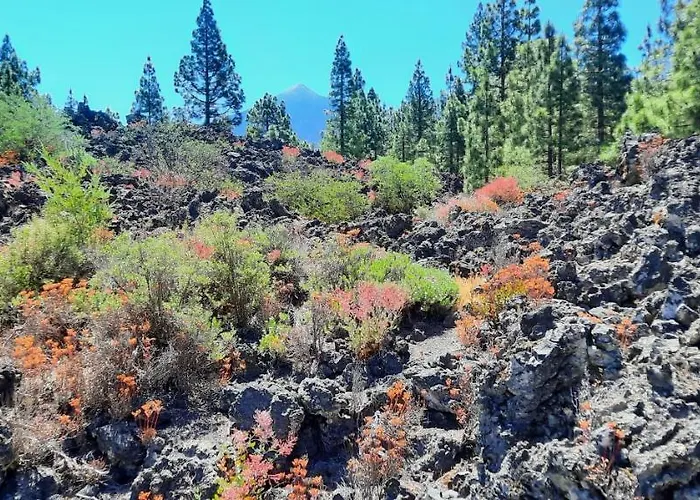 Castle Harbour 2* Los Cristianos